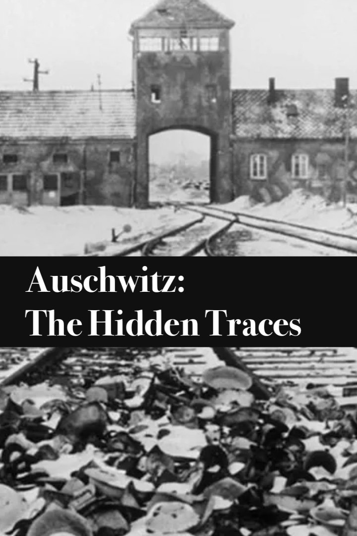 Auschwitz: The Hidden Traces poster