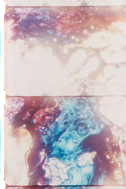 Cloud Chamber poster