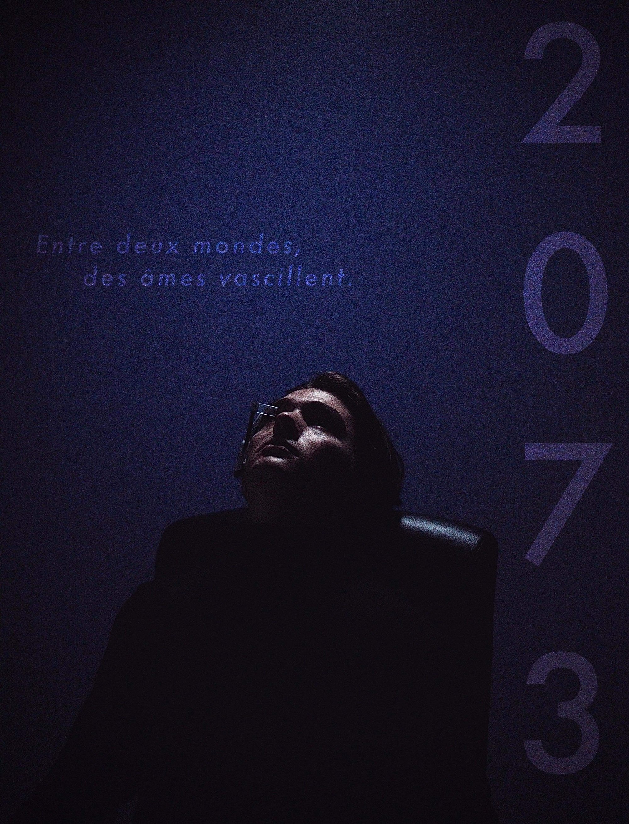 2073 poster