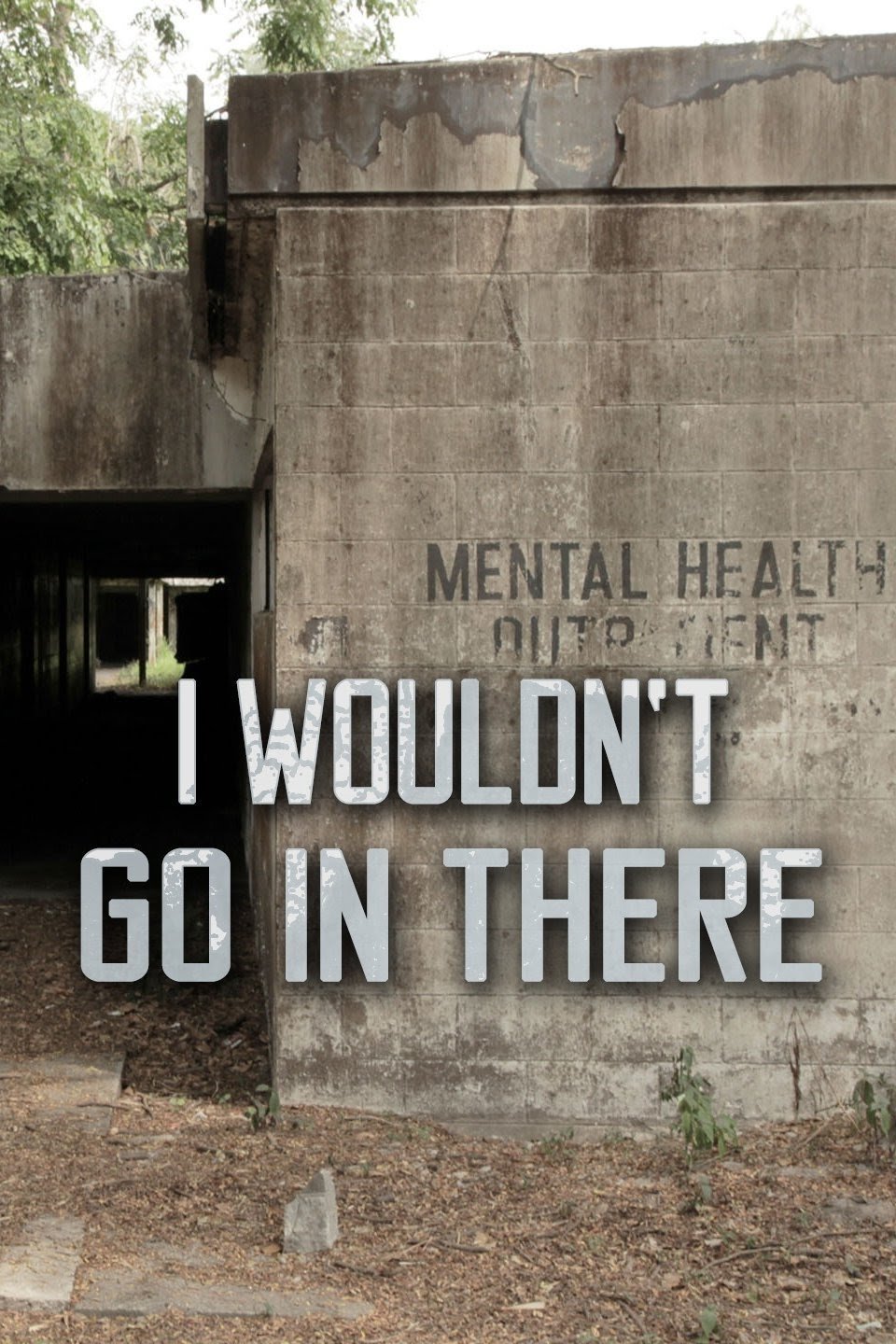 I Wouldn’t Go In There poster