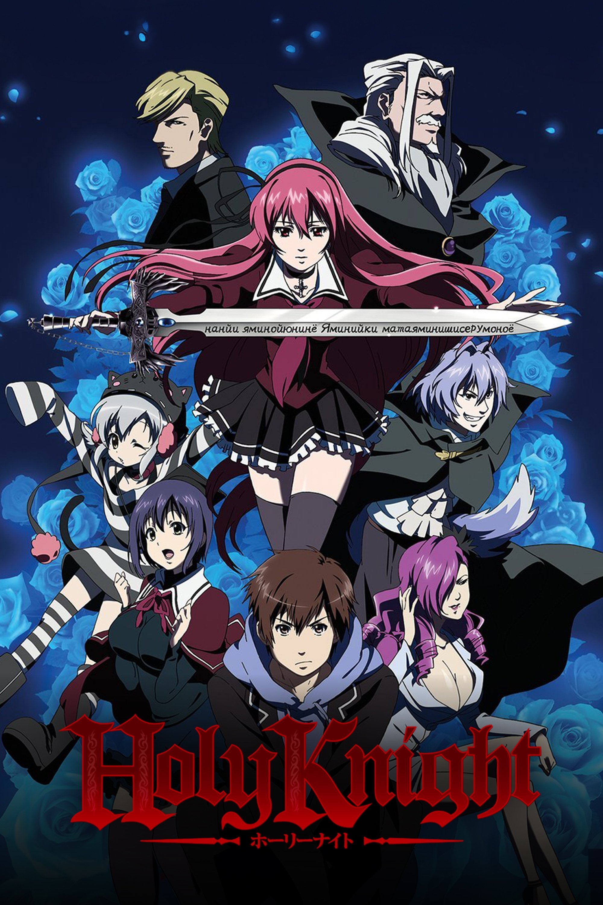 Holy Knight poster