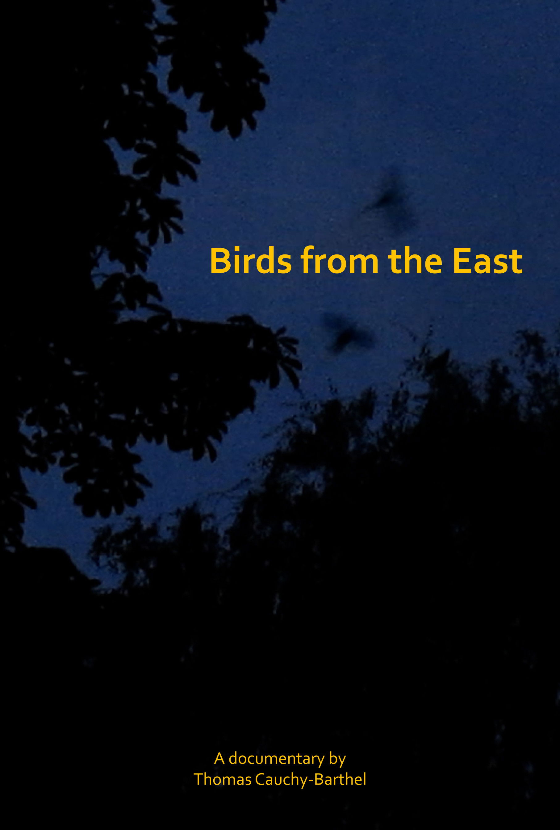 Les oiseaux de l'Est poster