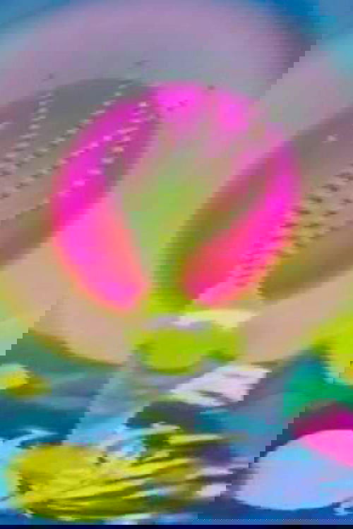 Embryo poster