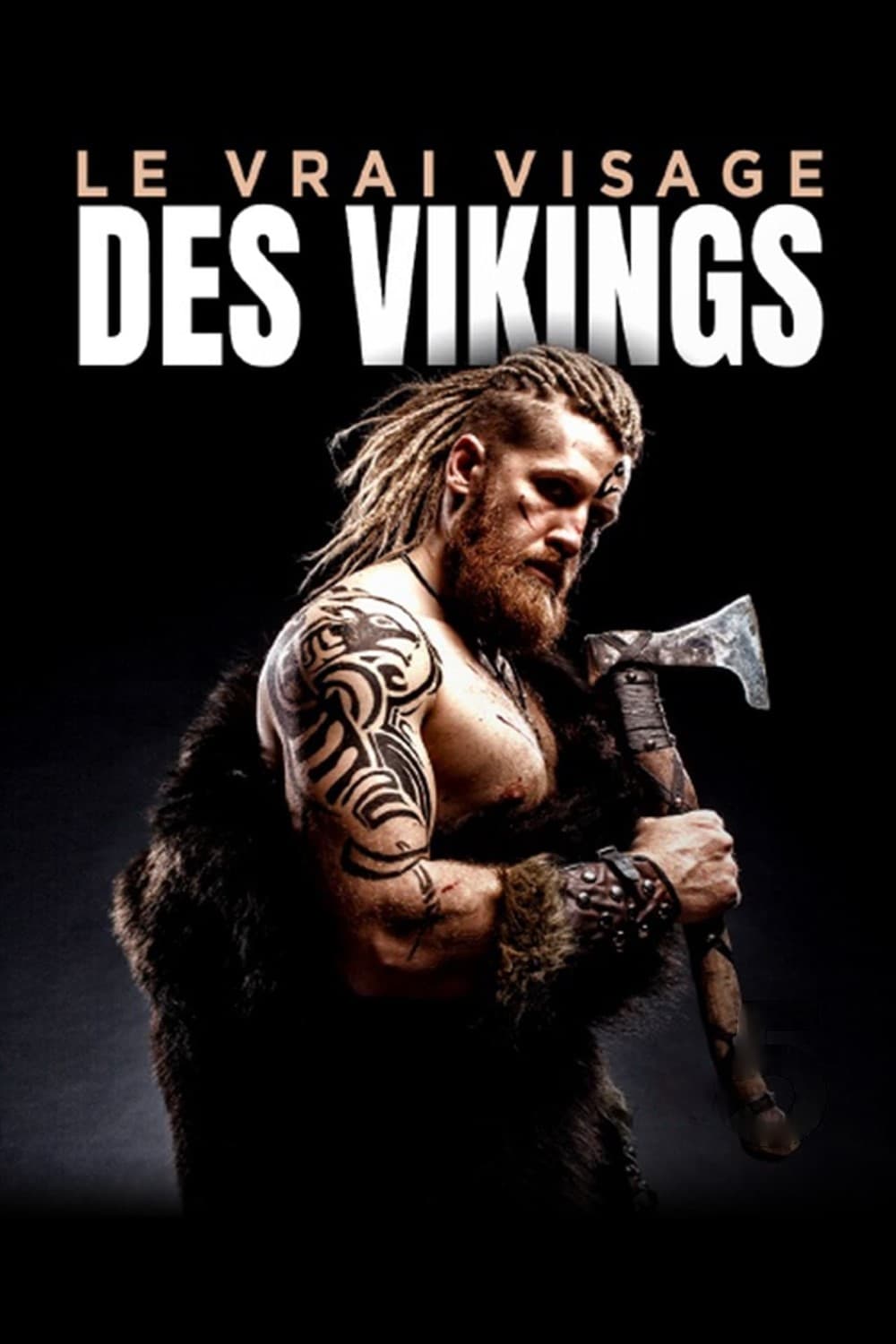 Le vrai visage des Vikings poster