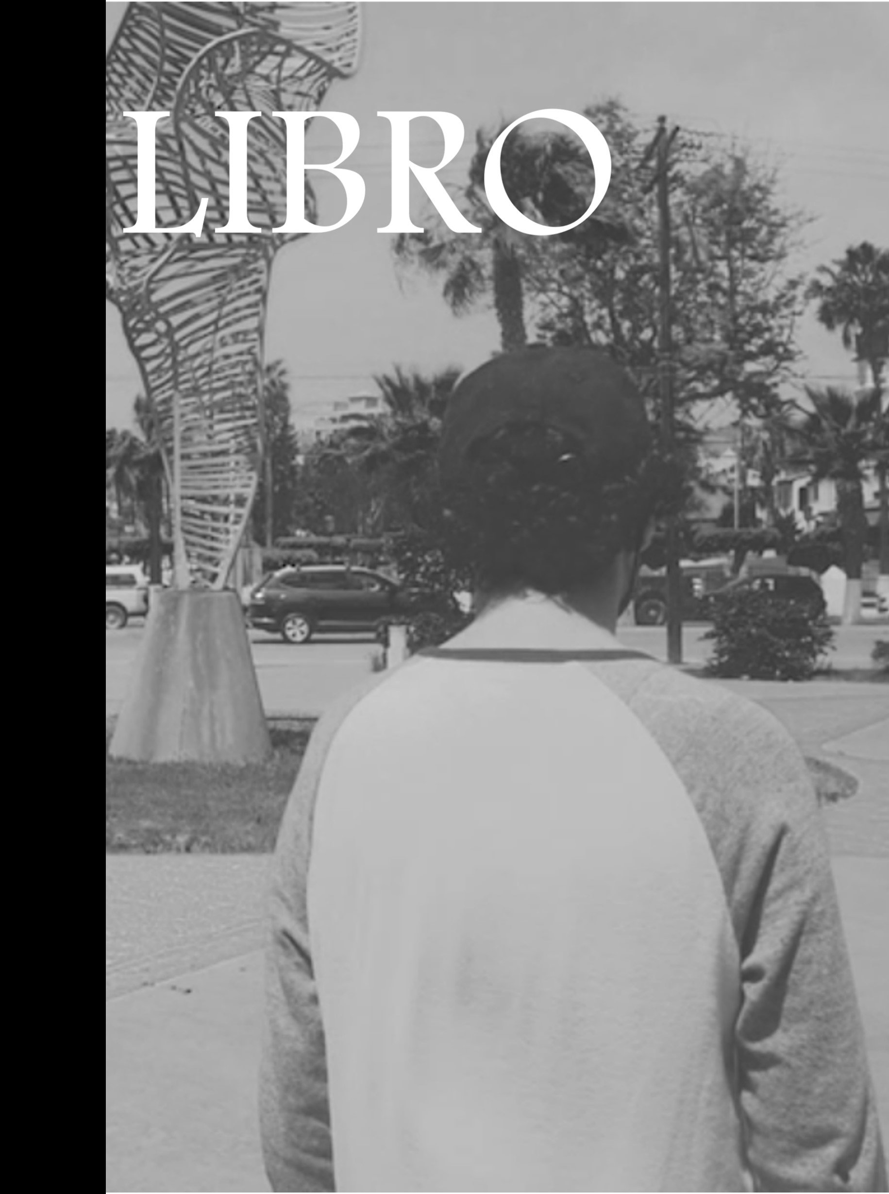 Book poster