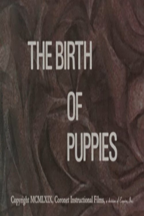 The Birth of Puppies poster