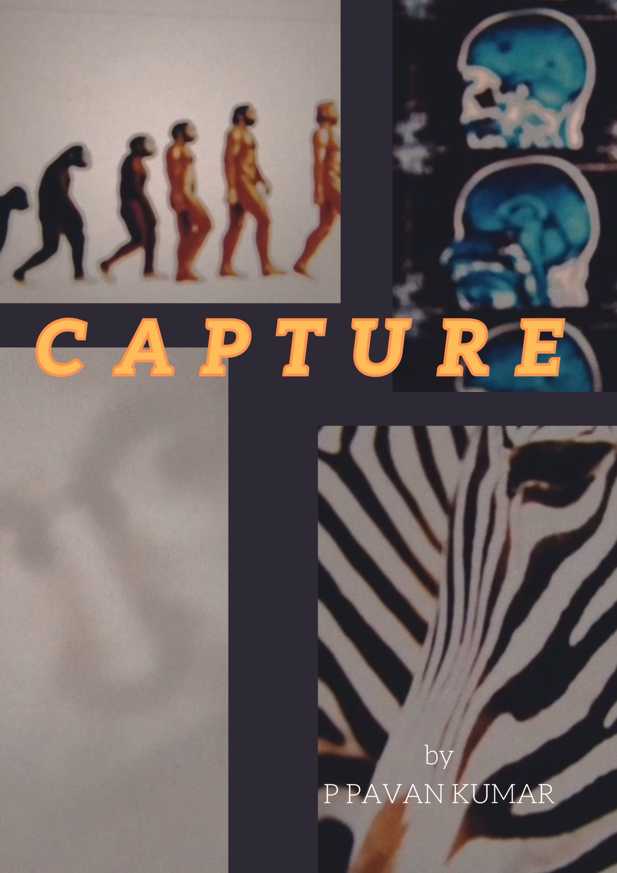Capture poster