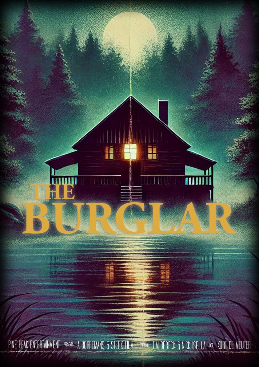 The Burglar poster