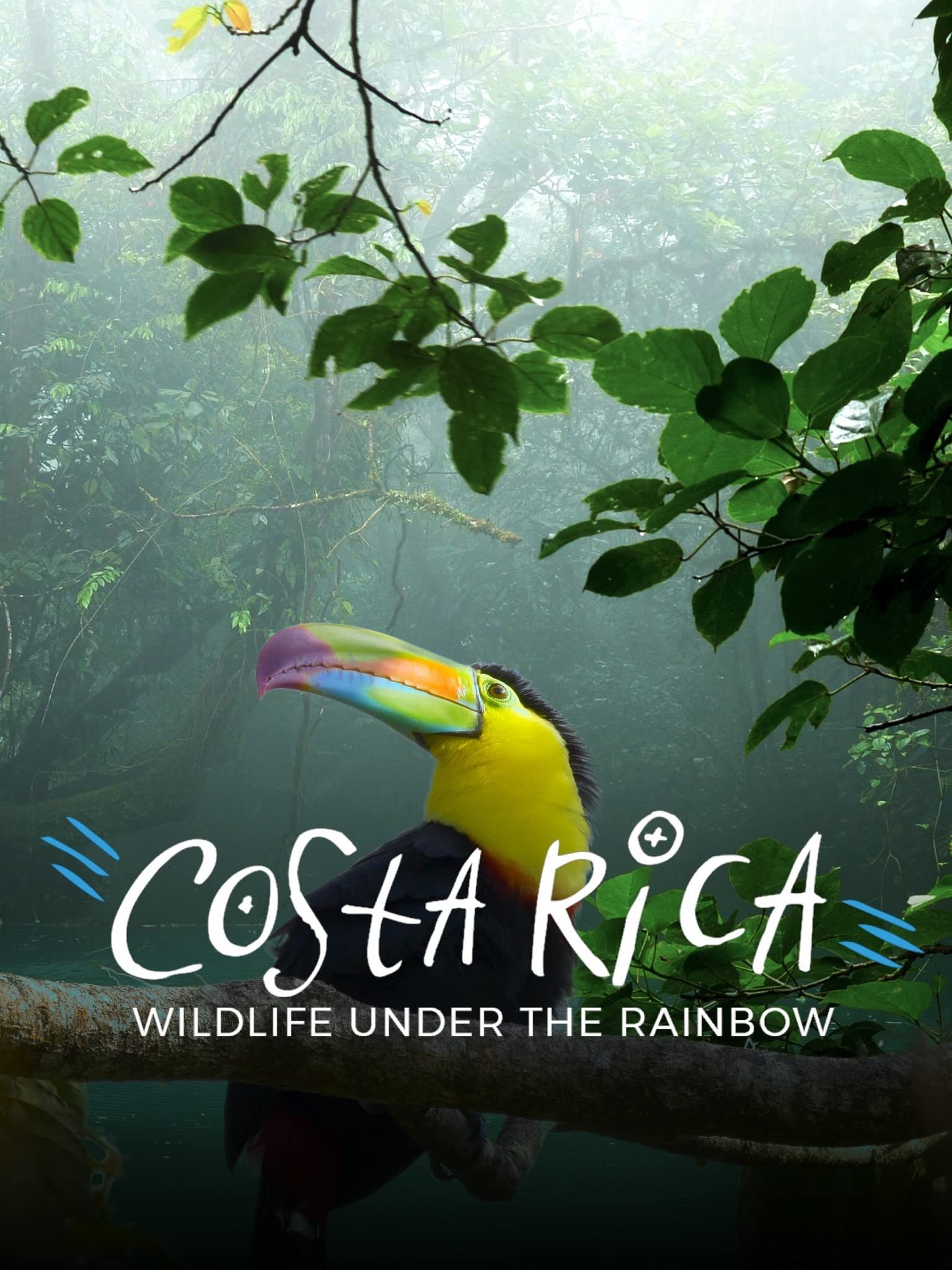 Costa Rica: Wildlife Under The Rainbow poster