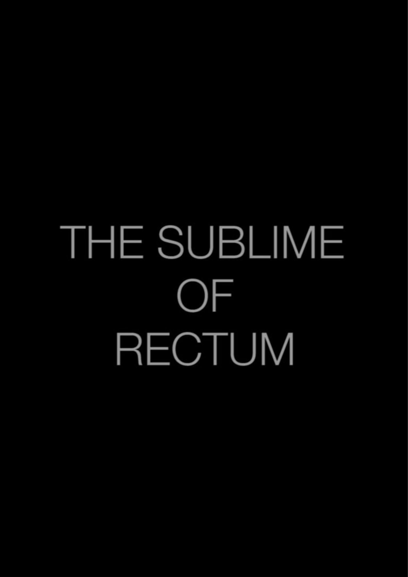 The Sublime of Rectum poster
