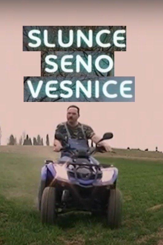Sun, Hay, Village poster