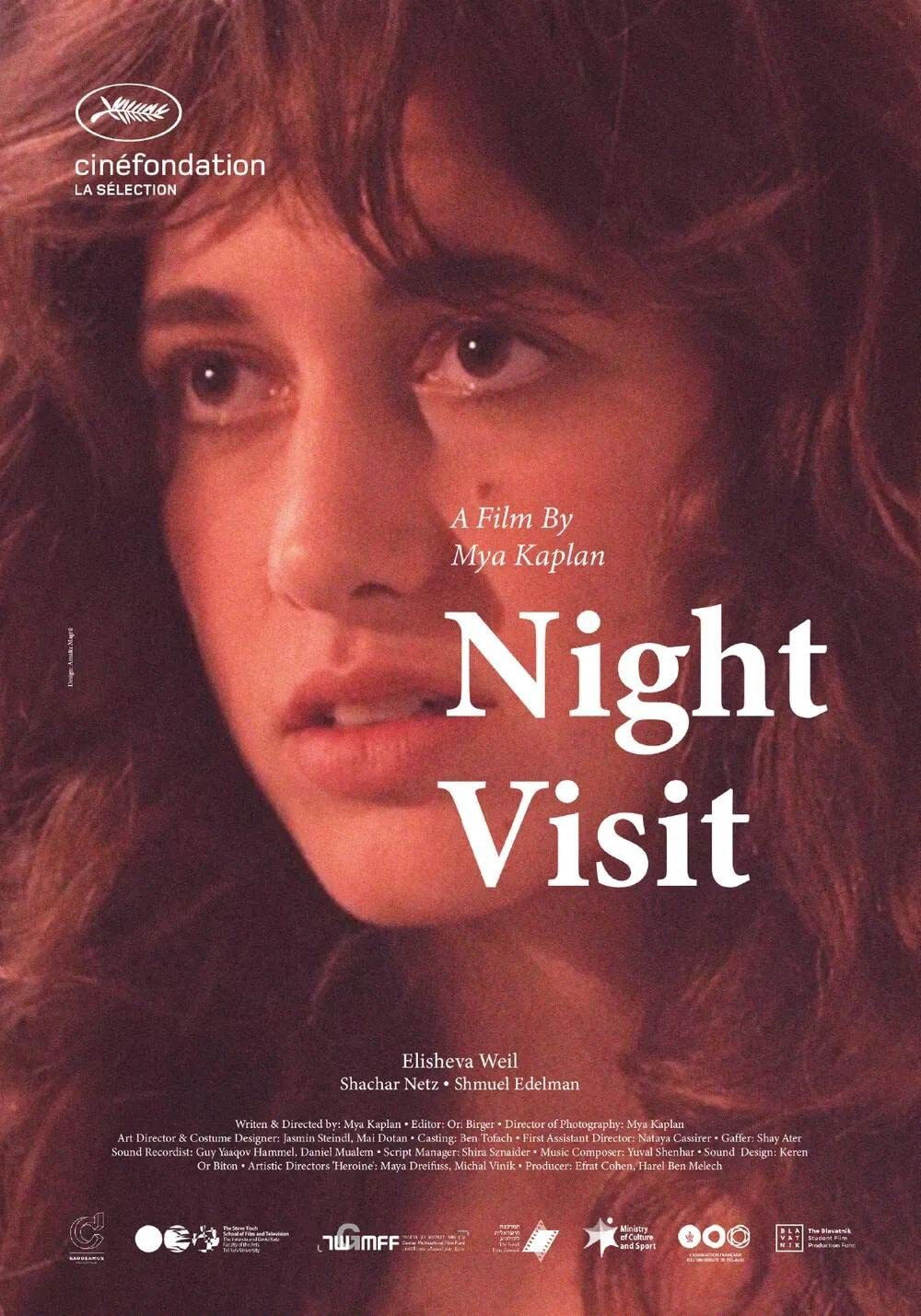 Night Visit poster