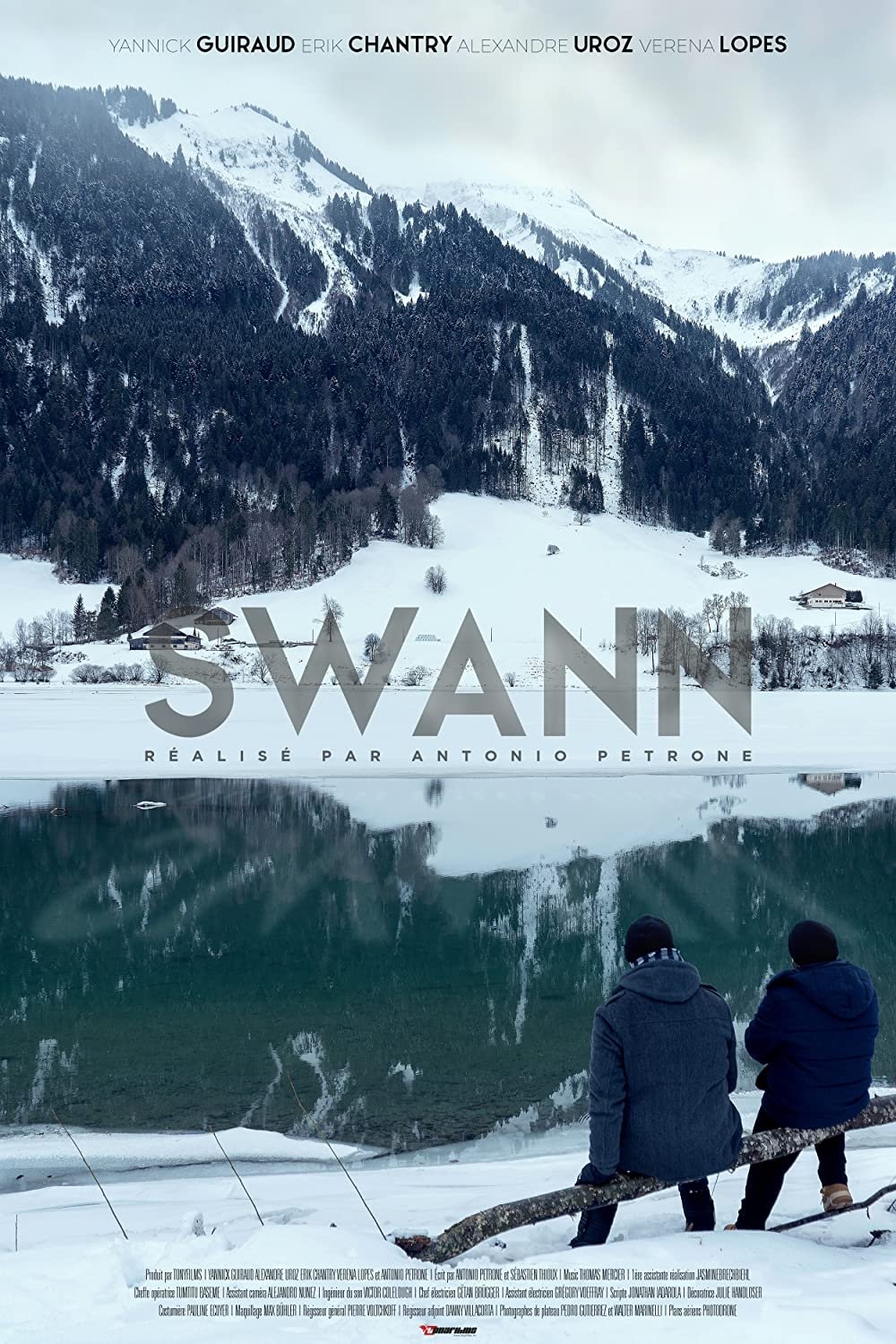 Swann poster