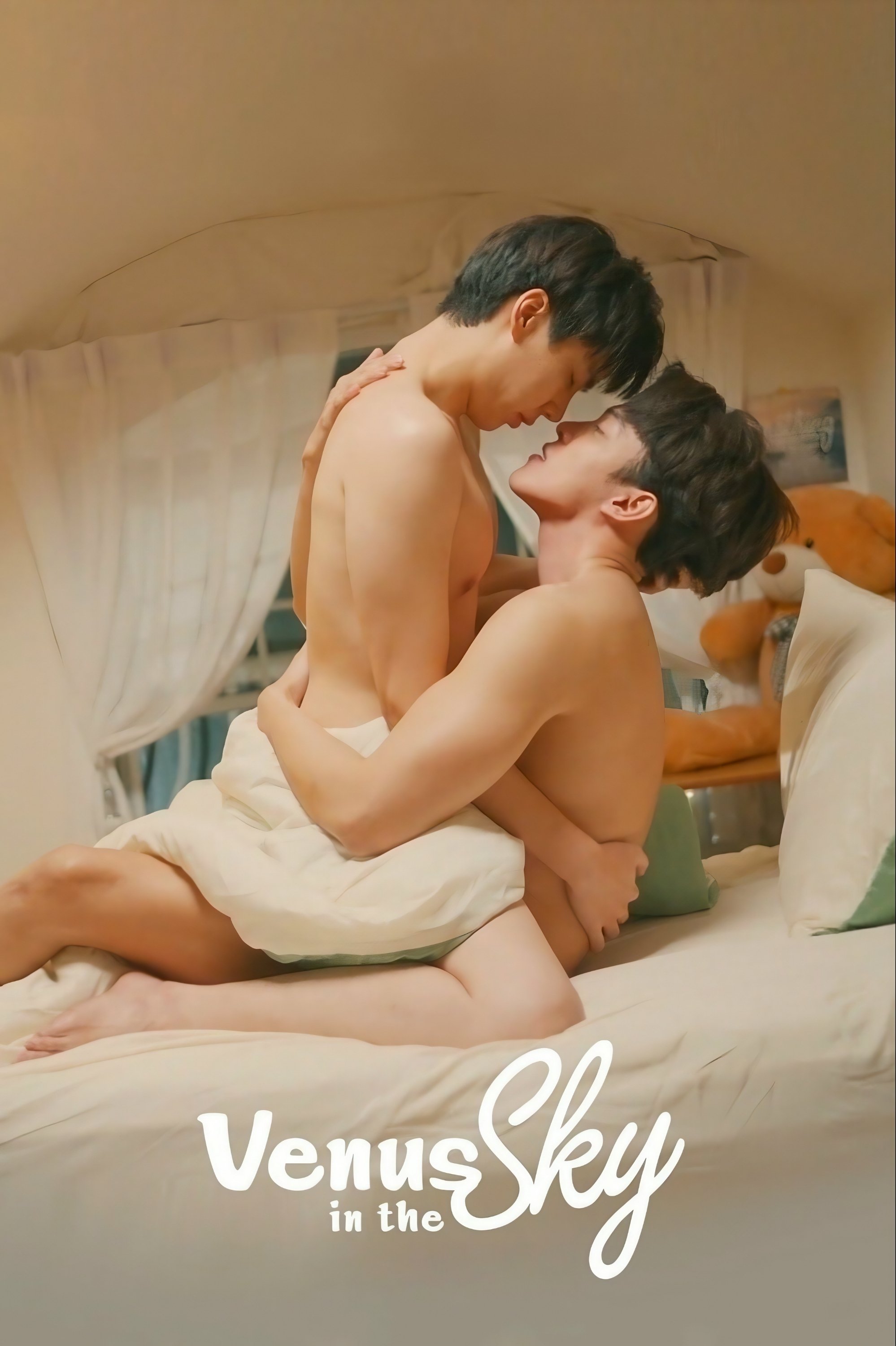 Venus in the Sky poster