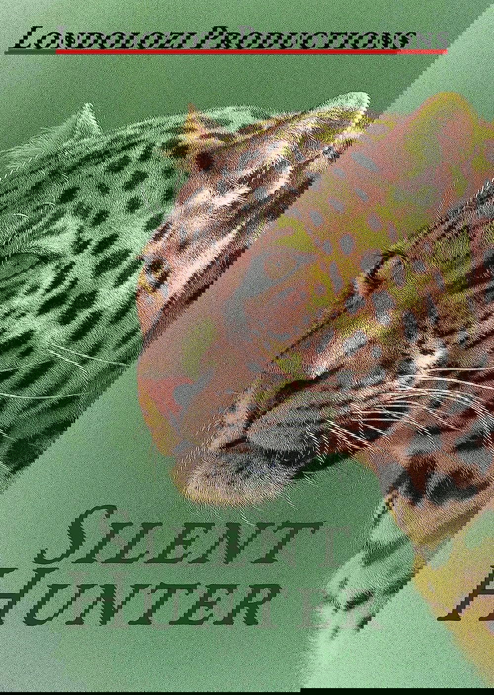 Silent Hunter poster