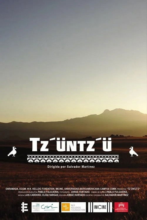 Tz'üntz'ü poster