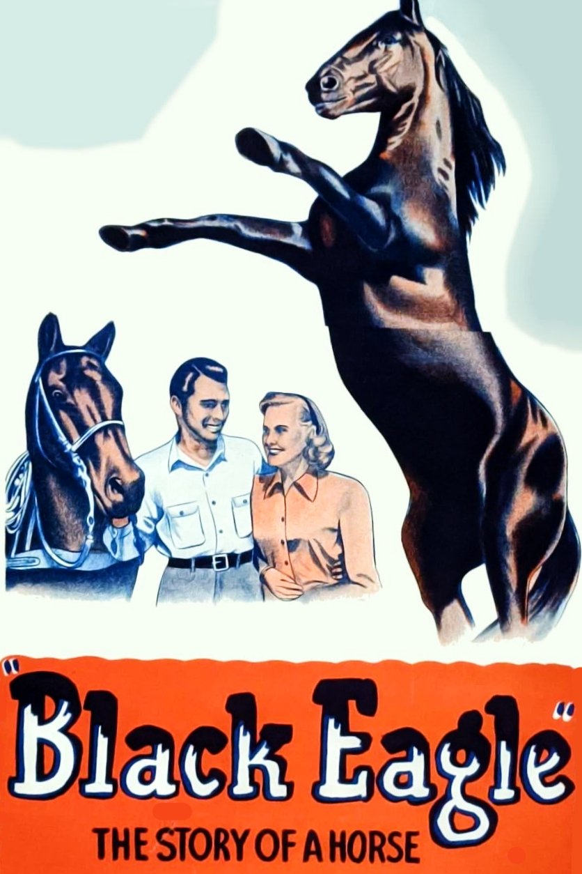 Black Eagle poster