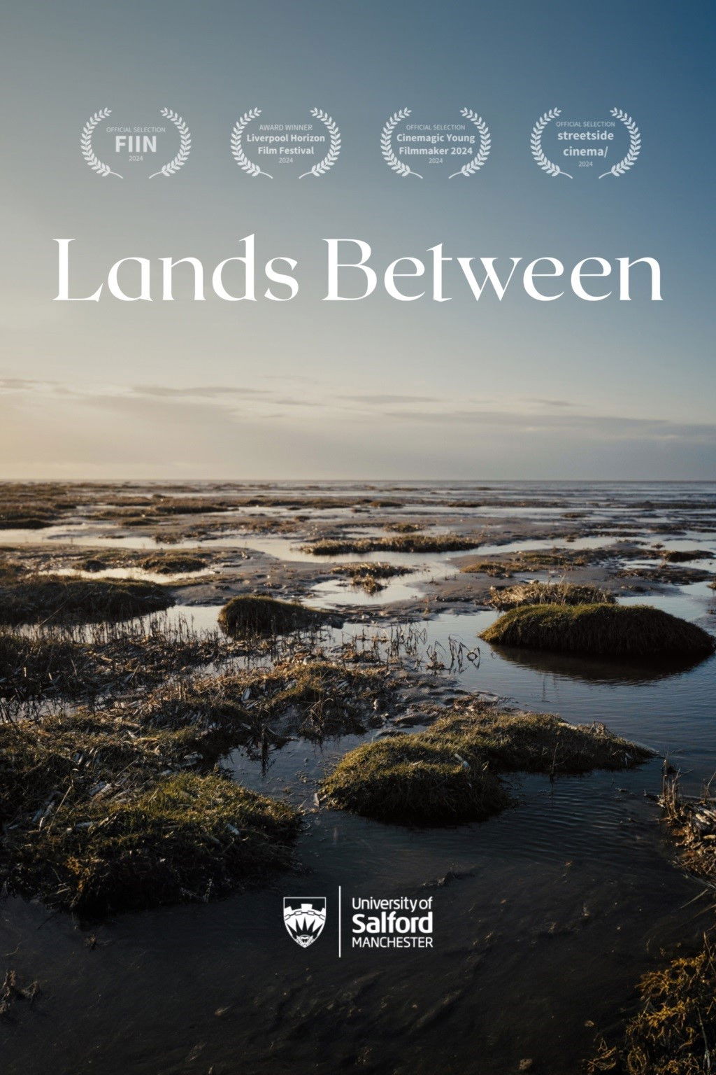 Lands Between poster