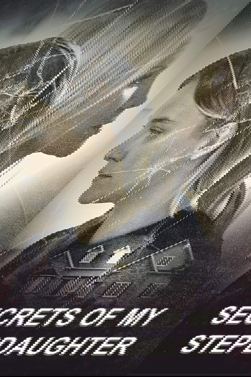Secrets of My Stepdaughter poster