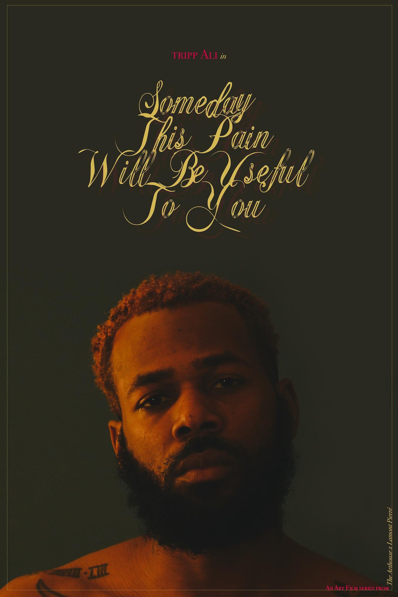 Someday This Pain Will Be Useful to You poster
