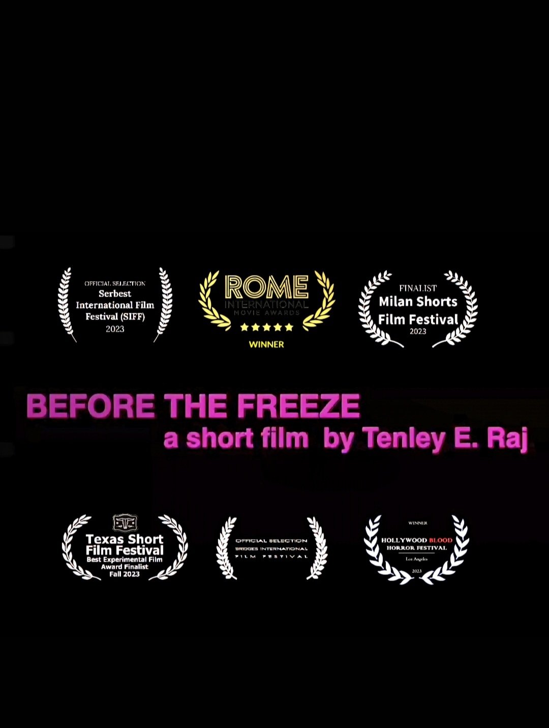 Before the Freeze poster