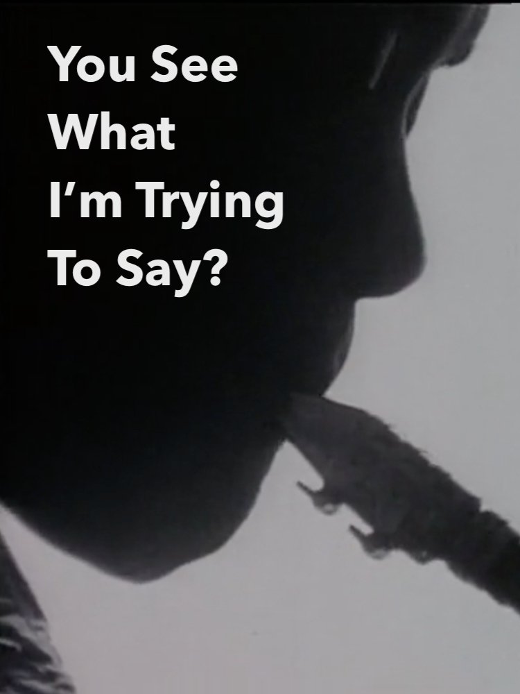 You See What I’m Trying To Say? poster