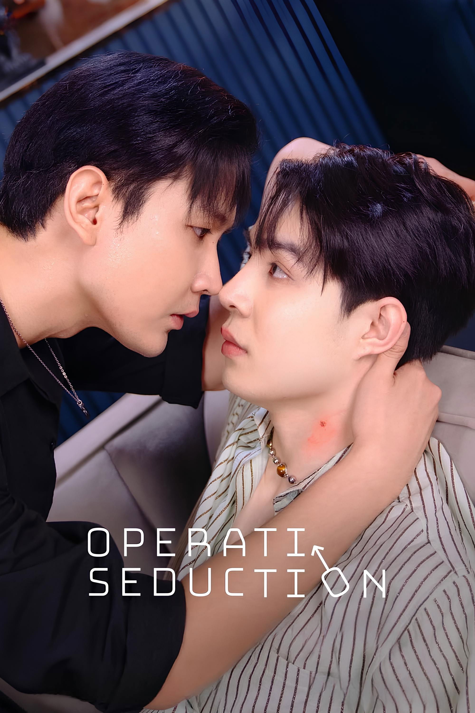 Operation Seduction poster