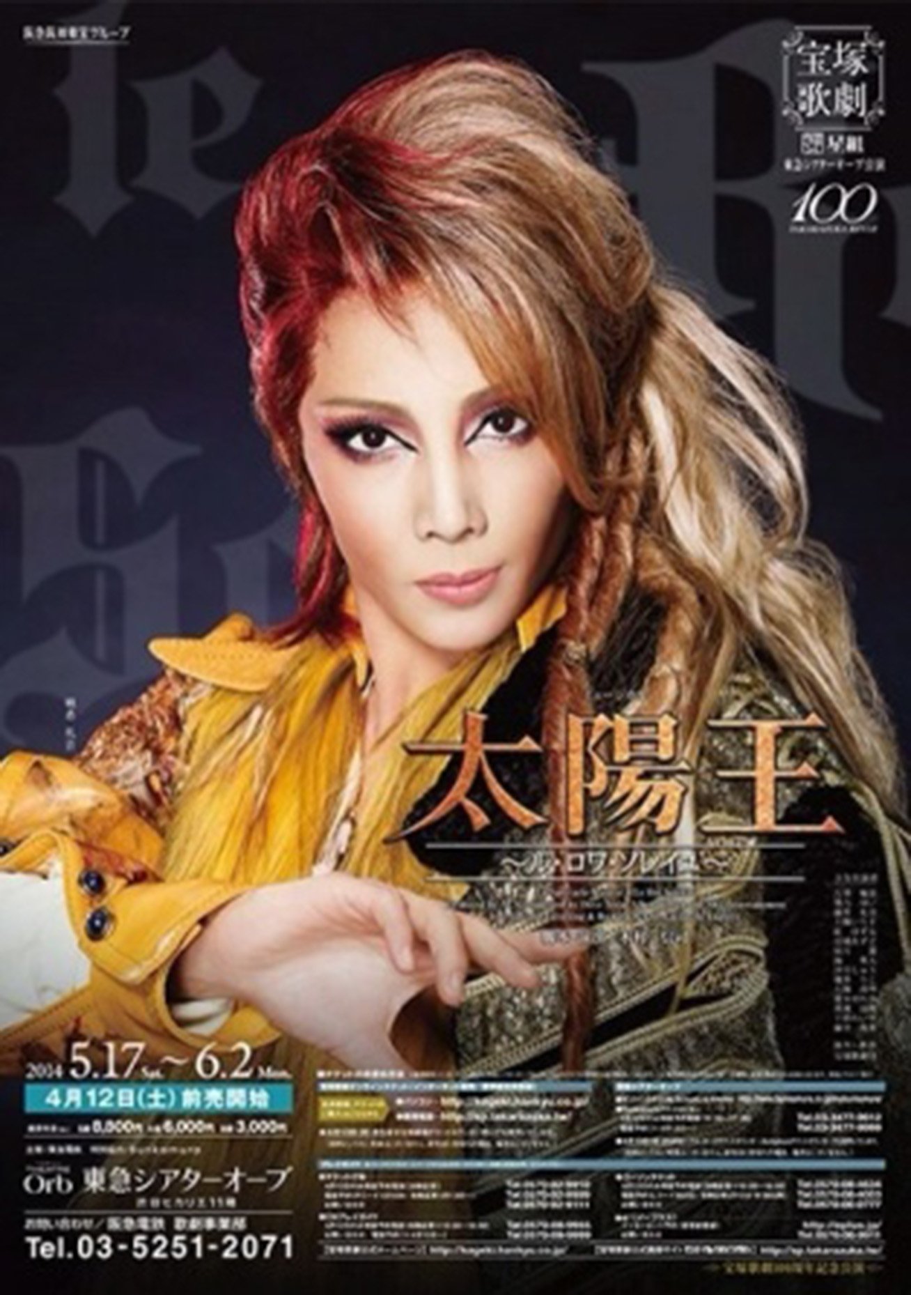 The Sun King ~Le Roi Soleil~ poster