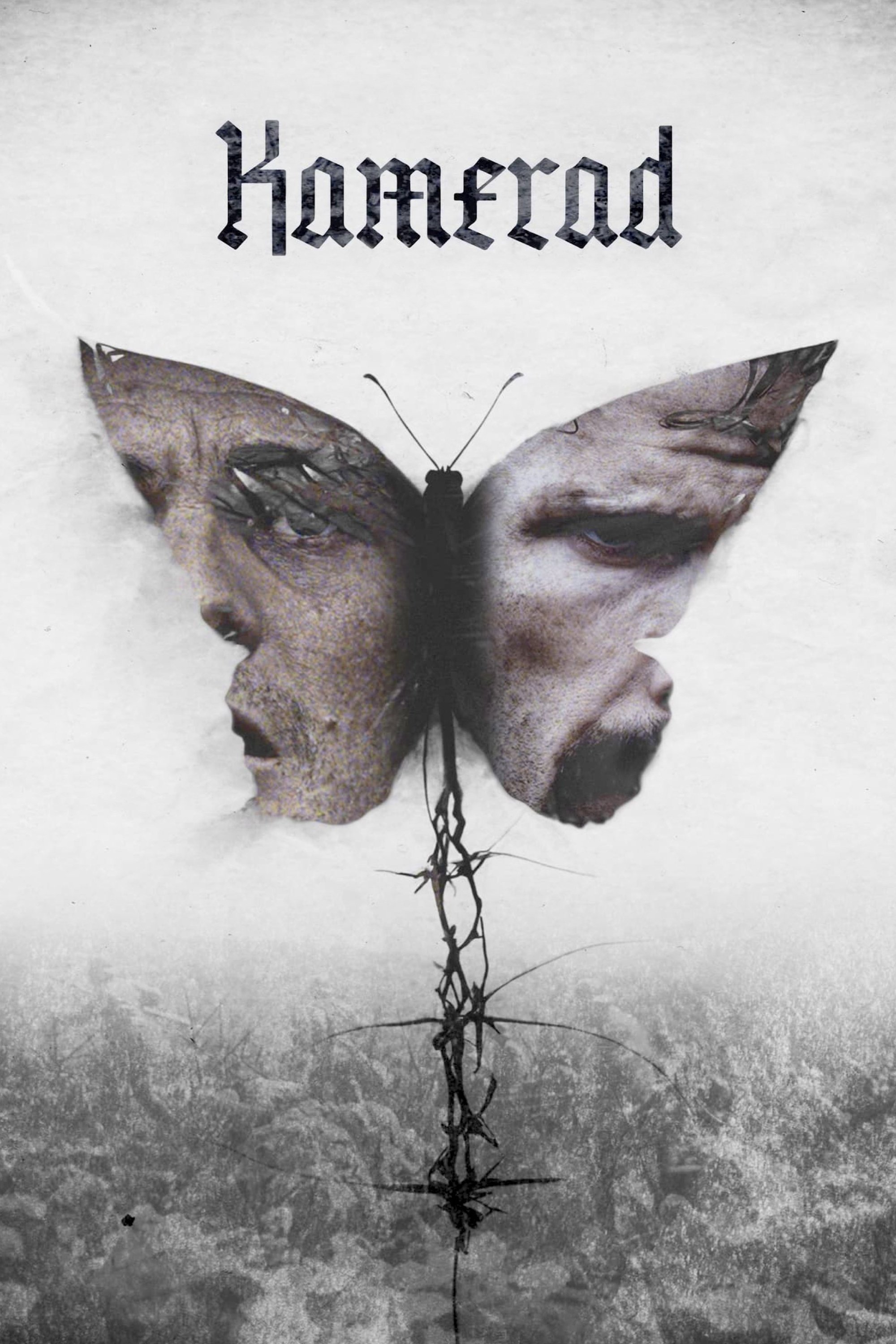 Kamerad poster