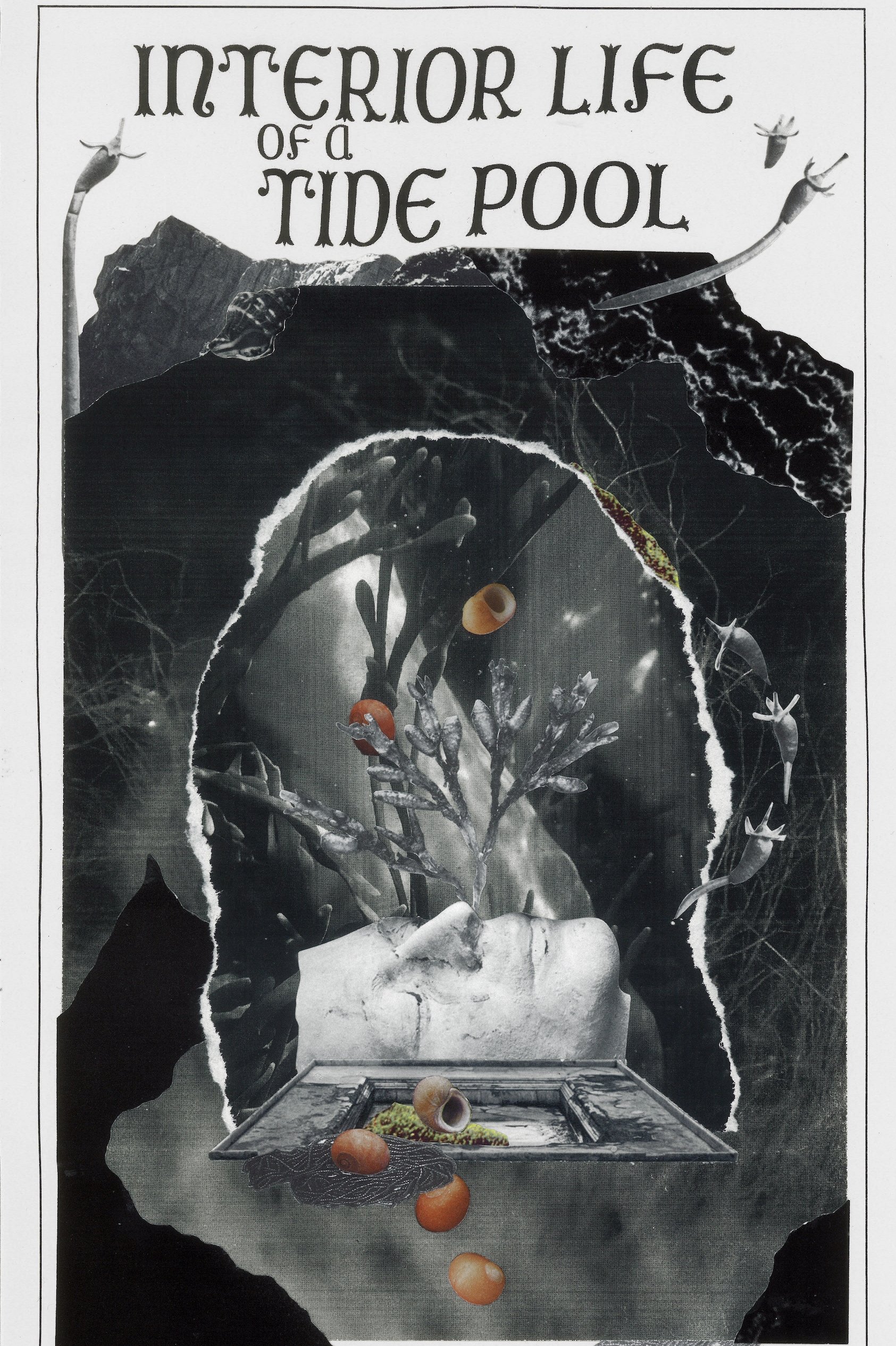 Interior Life of a Tidepool poster
