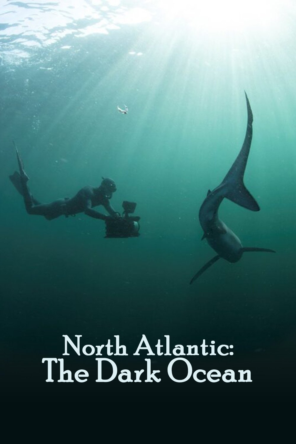 North Atlantic: The Dark Ocean poster
