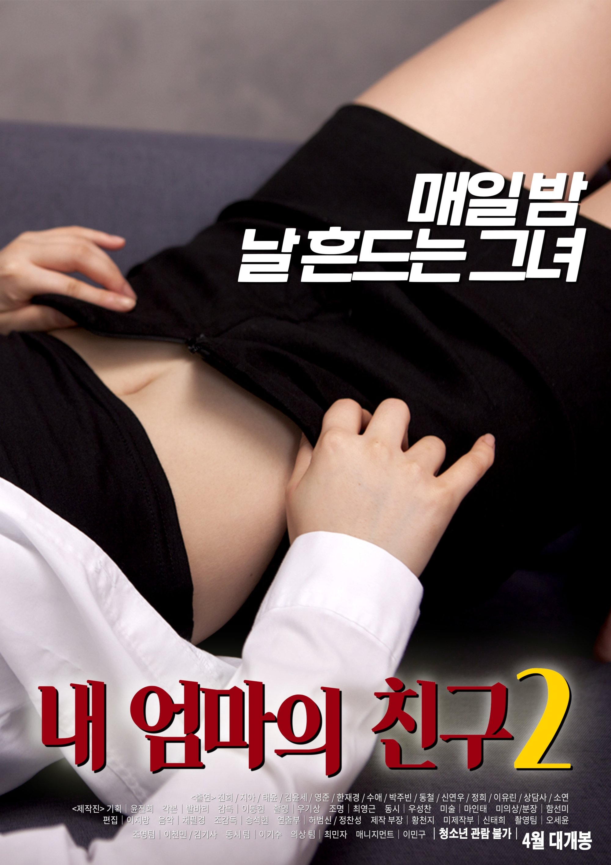 My Mother’s Friend 2 poster