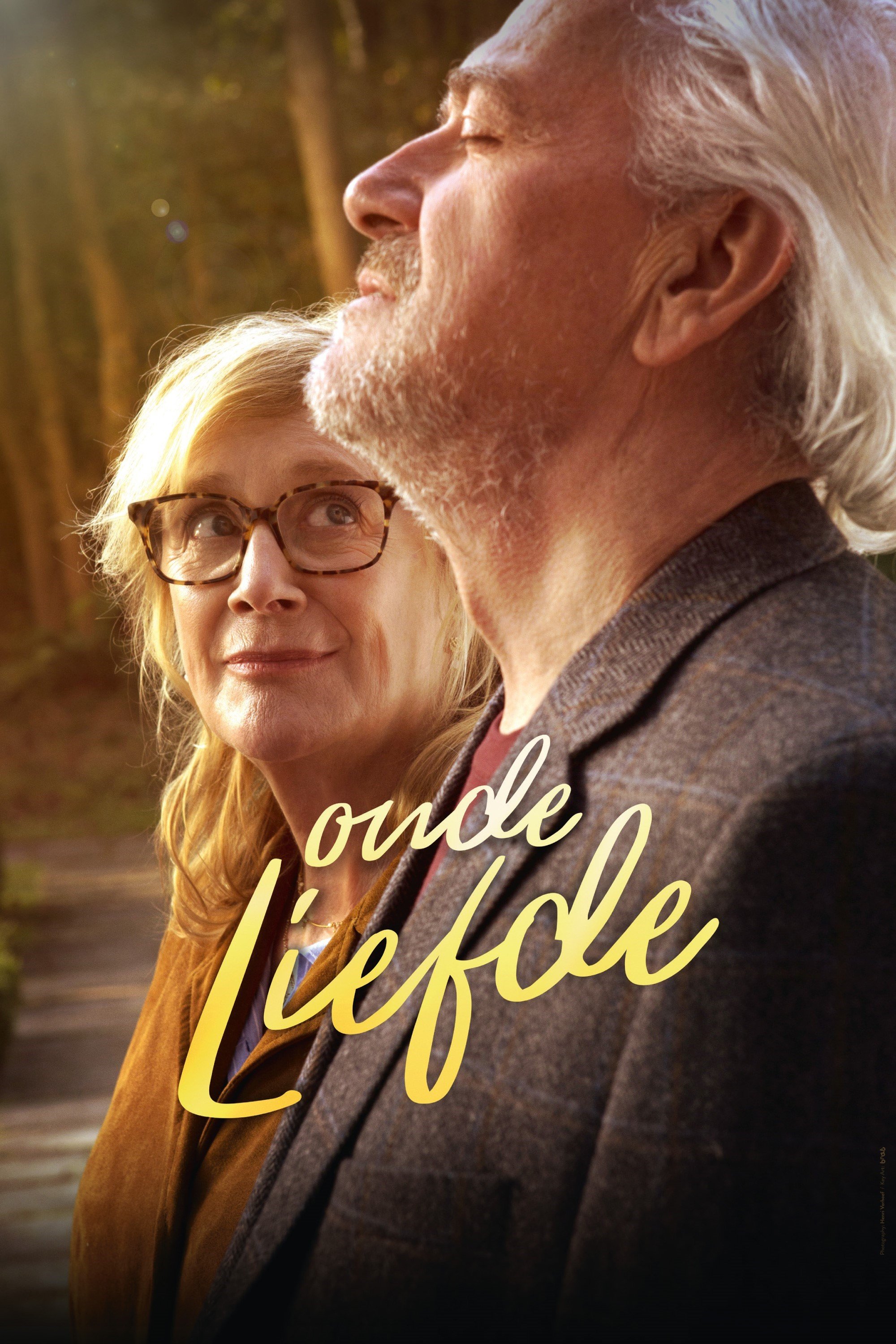 Love Revisited poster