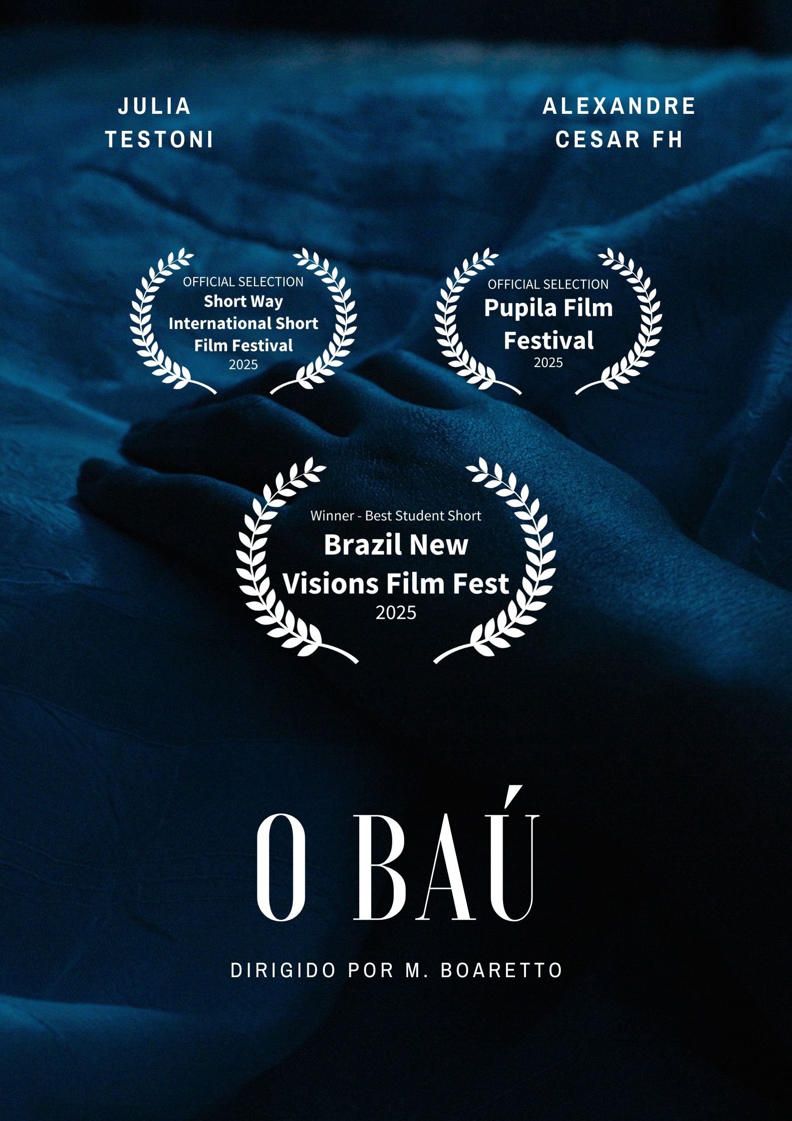 O Baú poster