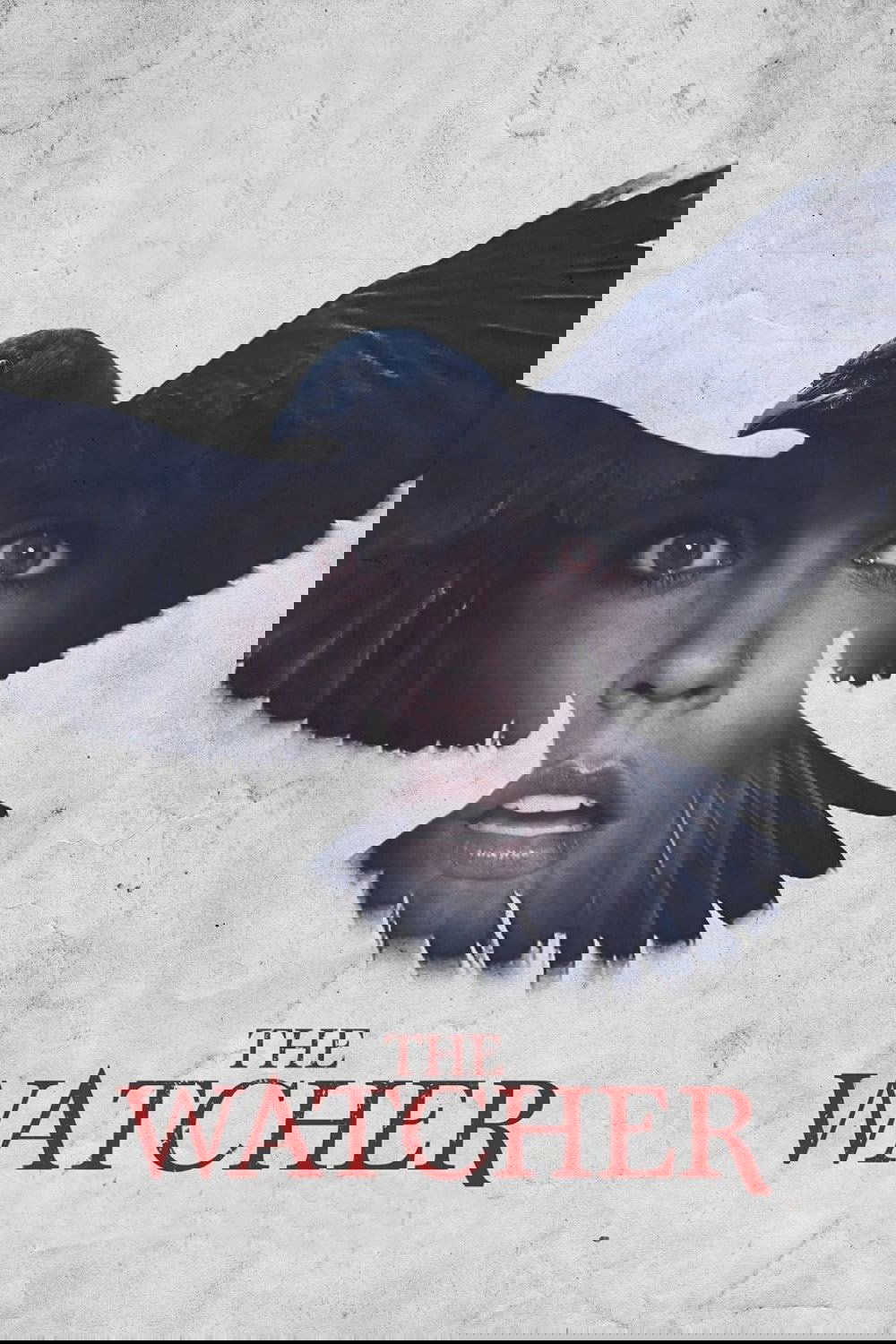 The Watcher poster