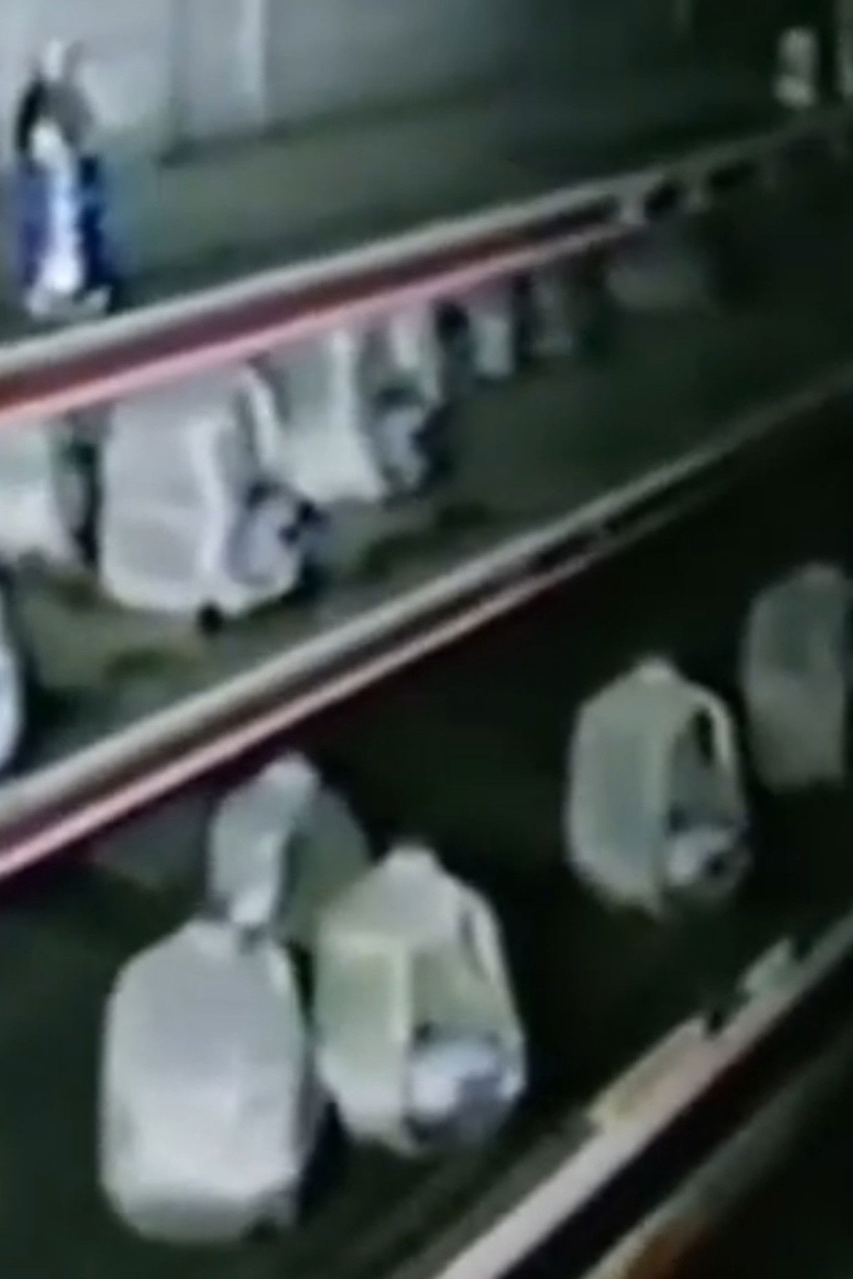 The Mexia Incident poster