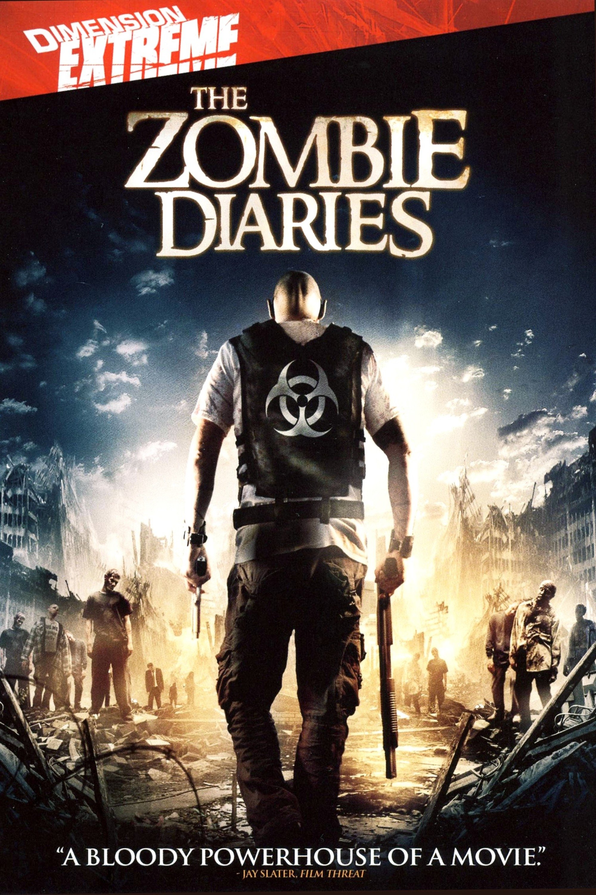 The Zombie Diaries poster