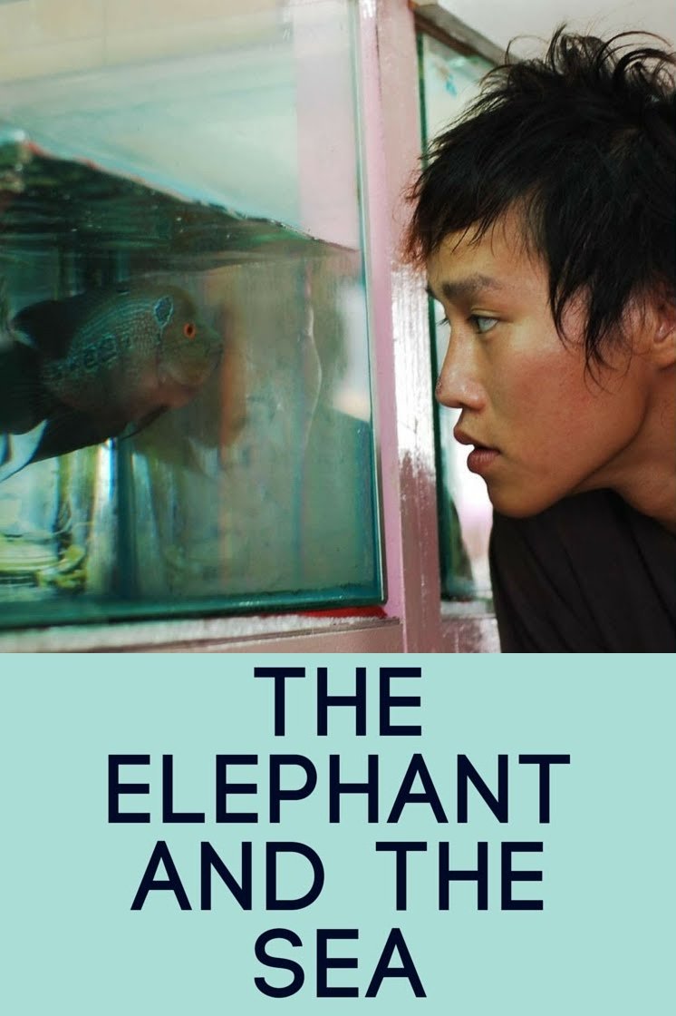The Elephant and the Sea poster