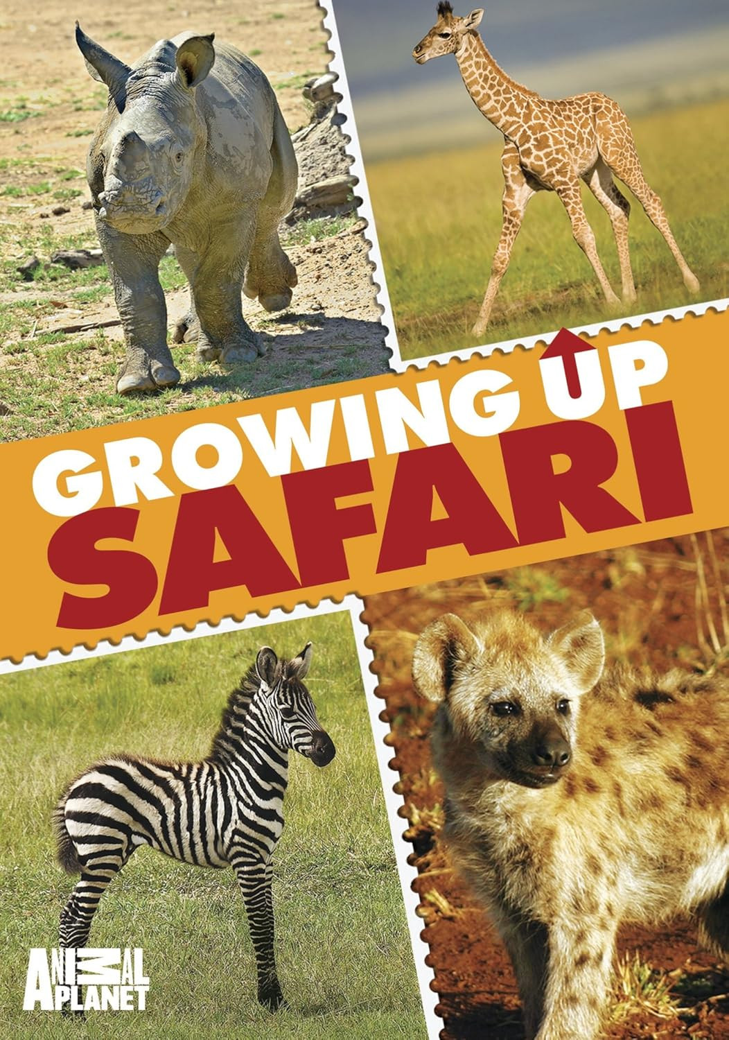 Animal Planet: Growing Up Safari poster