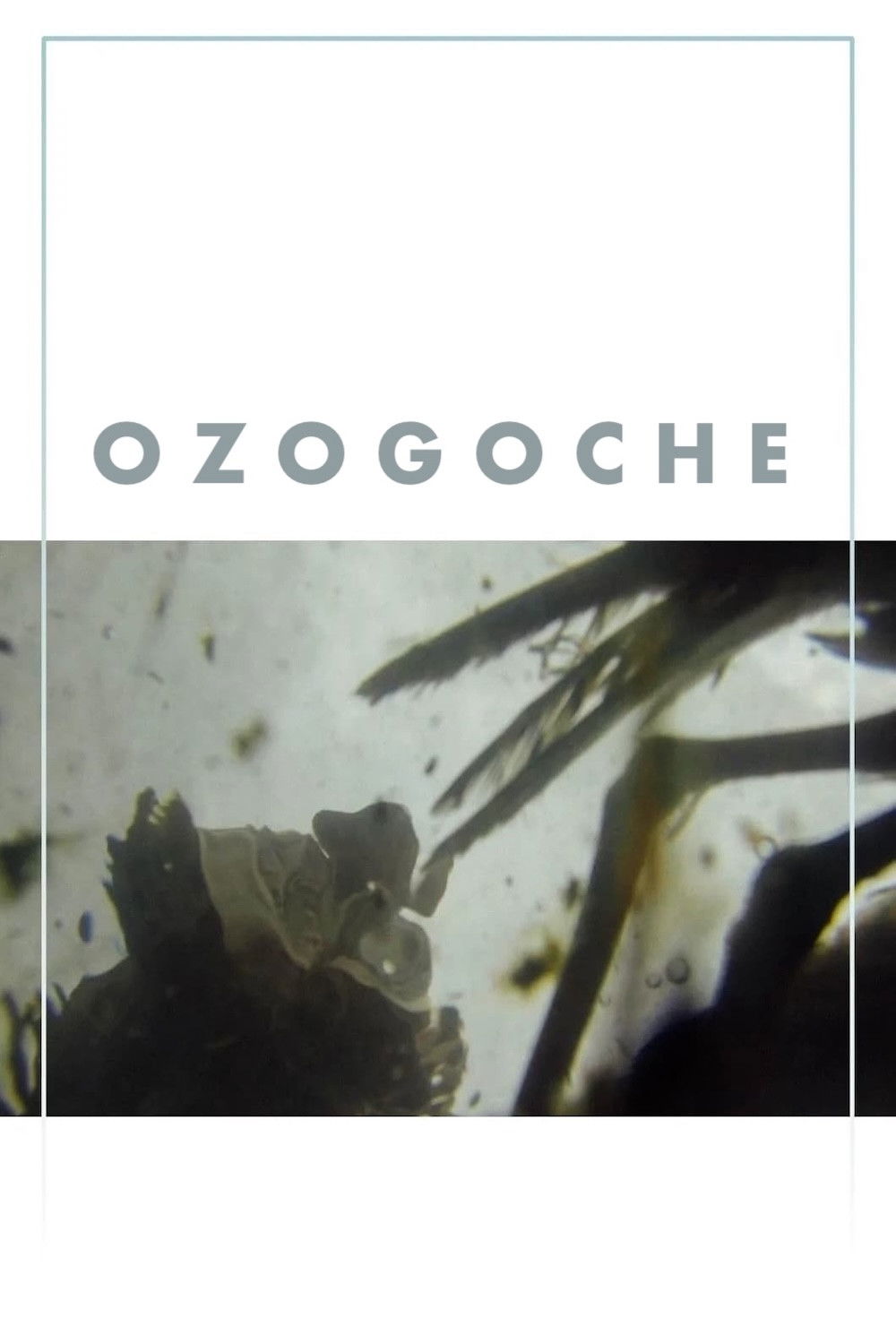 Ozogoche poster