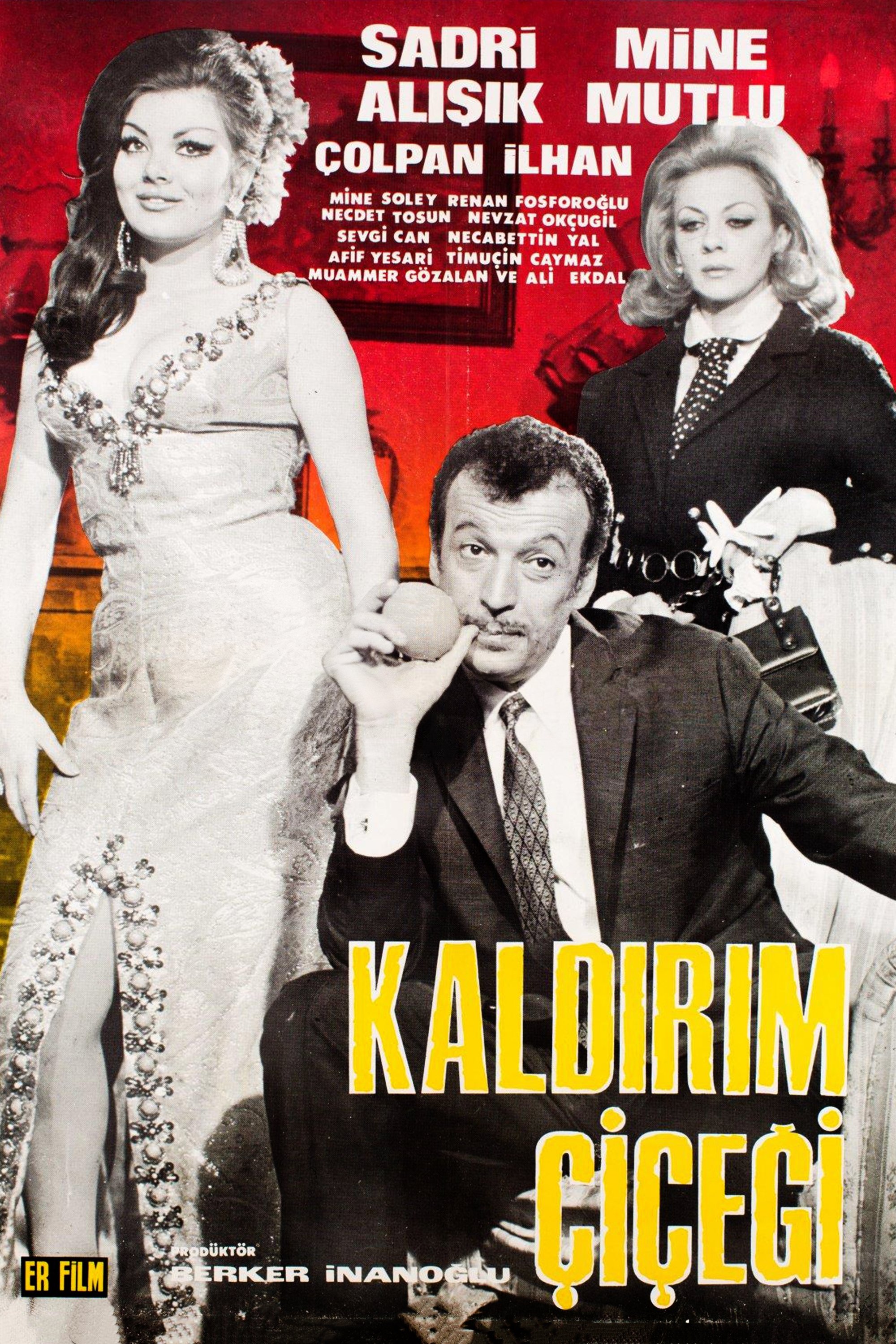 Kaldırım Çiçeği poster