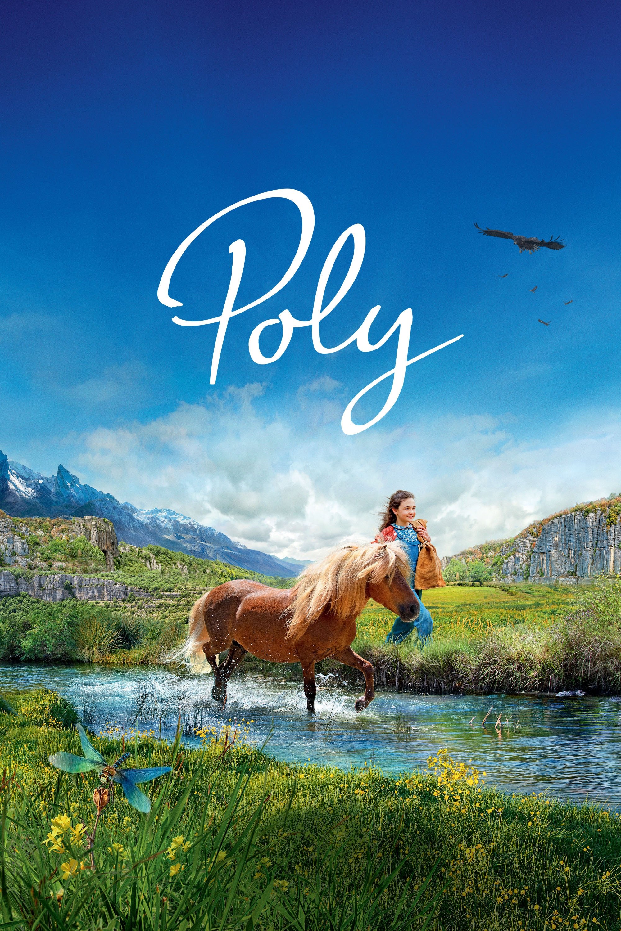 Poly poster
