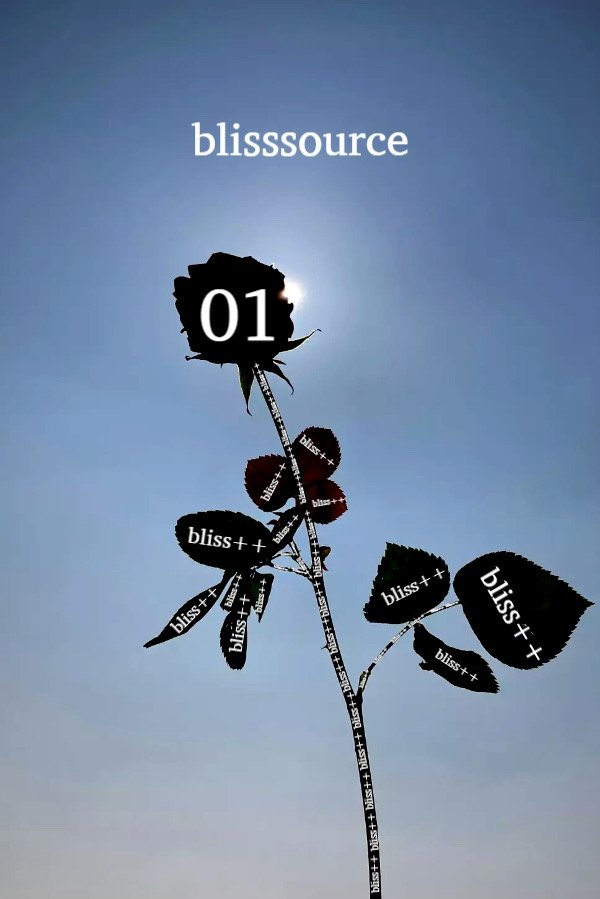 01 poster