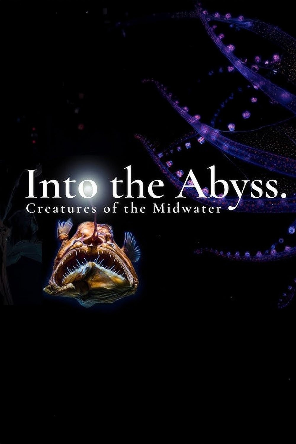 Into the Abyss: Creatures of the Midwater poster