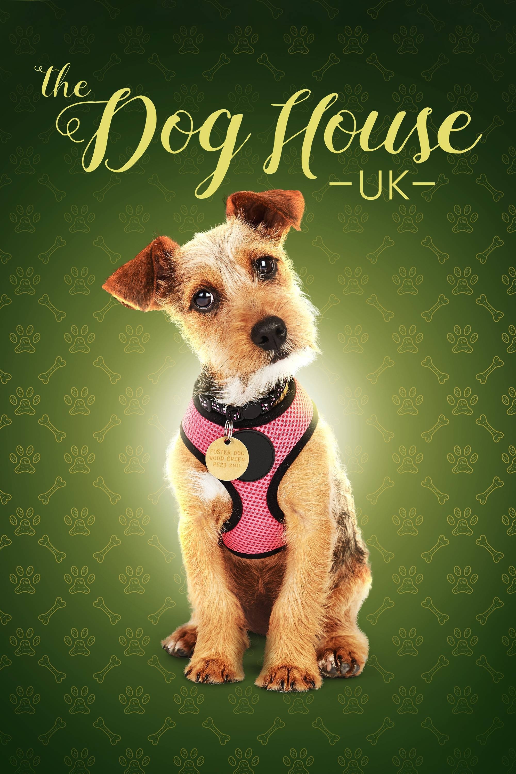 The Dog House poster