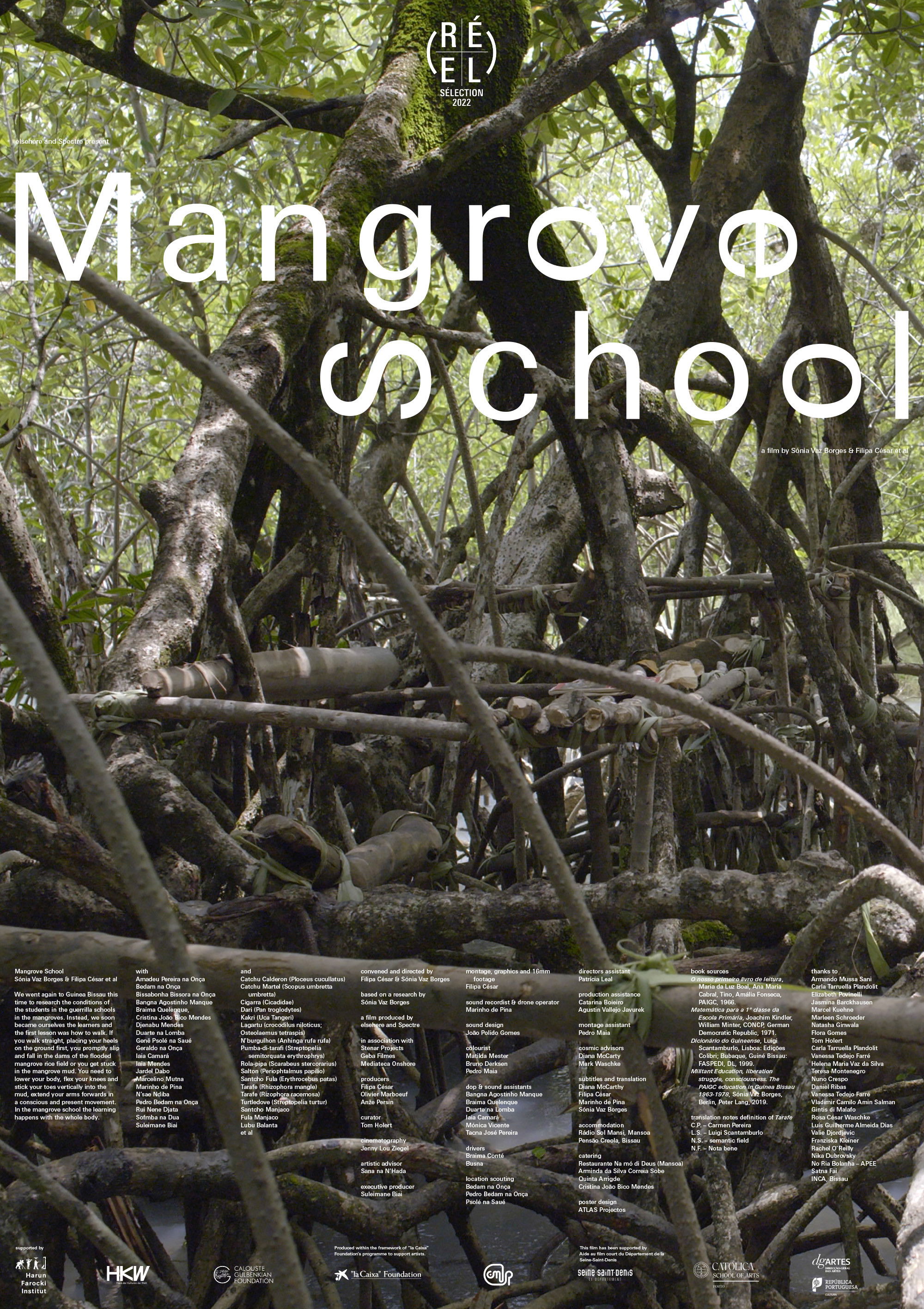 Mangrove School poster