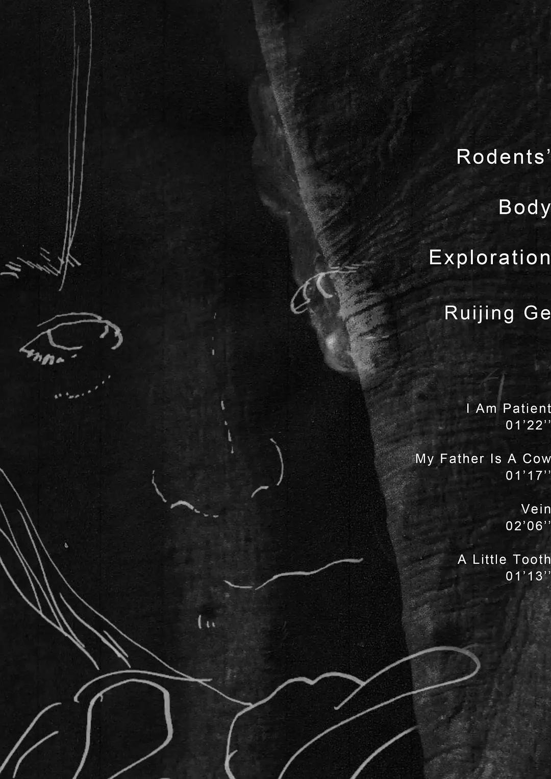 Rodents' Body Exploration poster