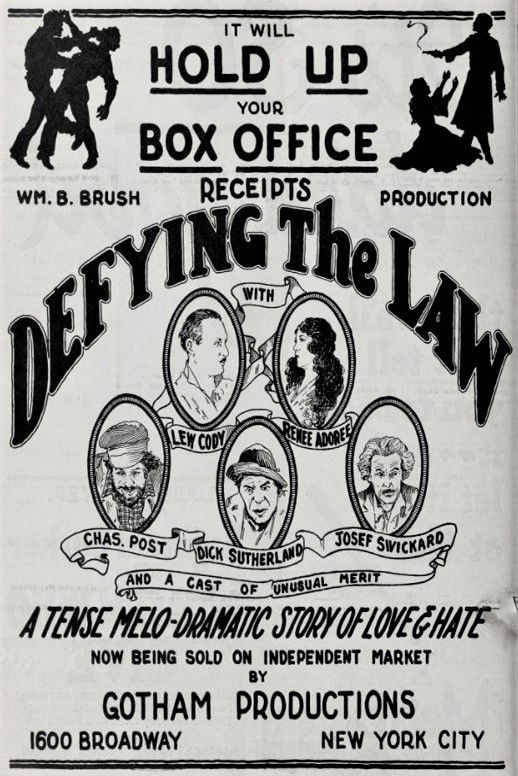Defying the Law poster