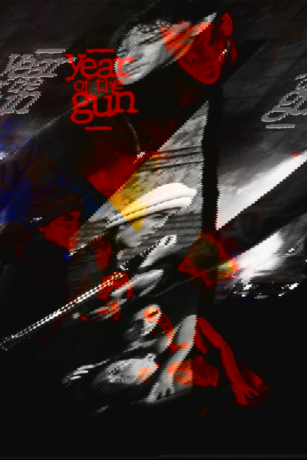 Year of the Gun poster
