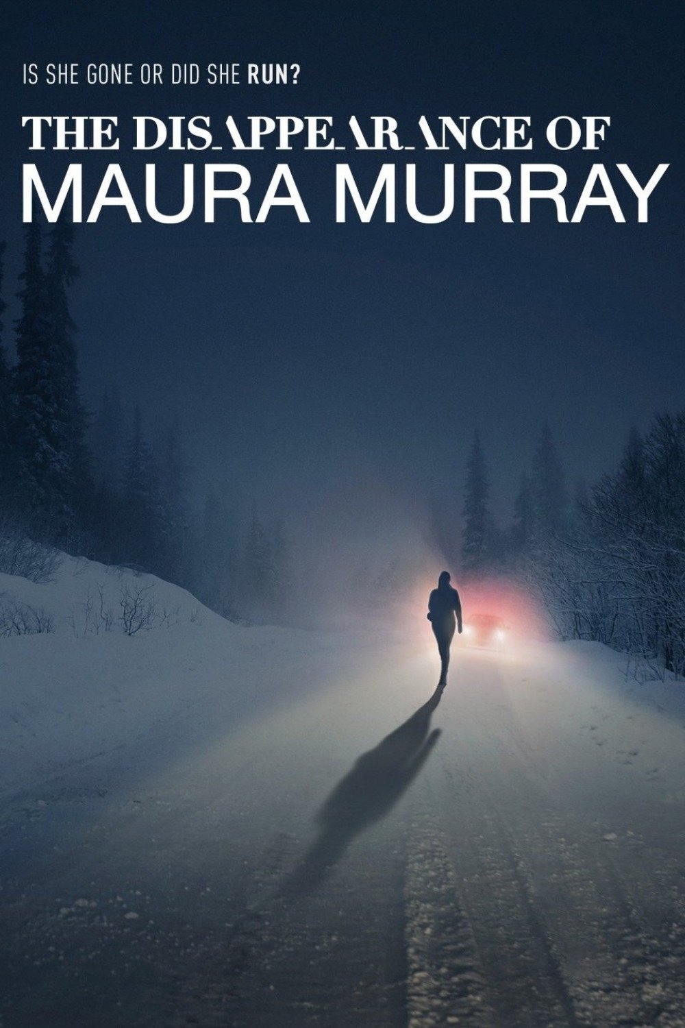The Disappearance of Maura Murray poster